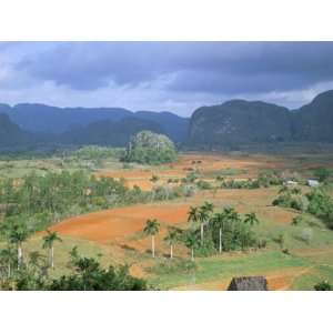  Over Vinales Valley Towards Tobacco Plantations and Mogotes, Vinales 