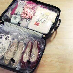Travel Luggage Organizer Air Mail Pack Bag 14 pcs 22628  