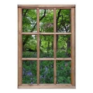  Bluebell Garden View from a Window Poster