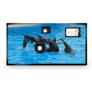    Animal Disposable Camera   Dolphin Case Pack 20