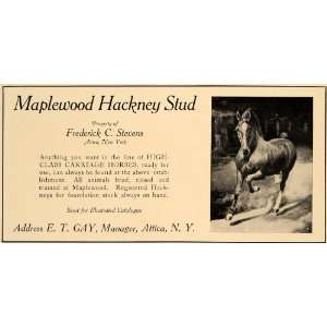   Ad Maplewood Hackney Stud Frederick C. Stevens   Original Print Ad