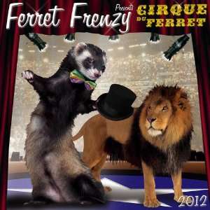  Ferret Frenzy Wall Calendar 2012