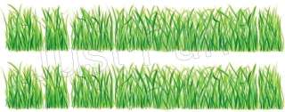 Grass ~ Tatouage   See FREE SHIP OFFER*  