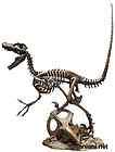 Griffon Enterprises Skeleton Model Series Velociraptor PVC Figure