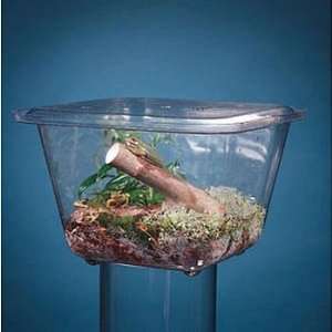 Aquarium/Terrarium Tank, Plastic, 1/2 Gal  Industrial 