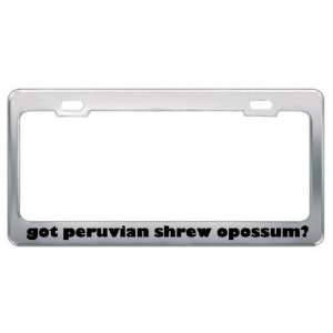 Got Peruvian Shrew Opossum? Animals Pets Metal License Plate Frame 