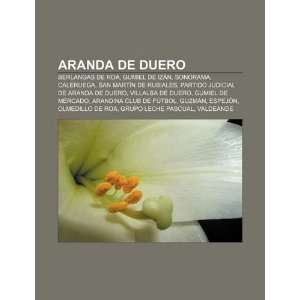   Aranda de Duero (Spanish Edition) (9781231476406) Fuente Wikipedia
