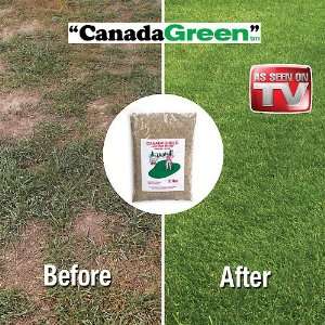  Canada Green Grass Seed 