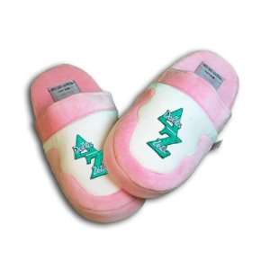  Delta Zeta Slippers 