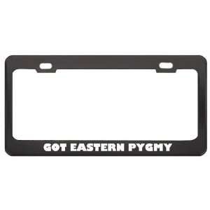 Got Eastern Pygmy Possum? Animals Pets Black Metal License Plate Frame 