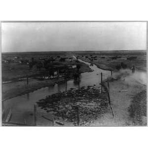  Stream,Artesian well,Kern County,California,Cattle,1888 