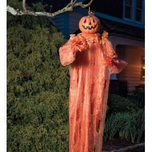    Jack O. Lantern Pumpkin Head Halloween Decoration Toys & Games