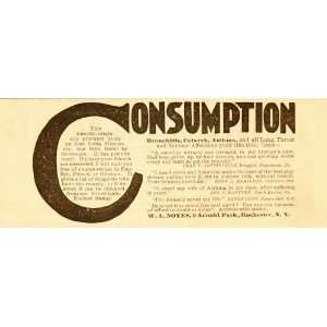  1896 Vintage Ad Consumption Asthma Cure Quackery Noyes 