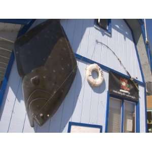  Fish Sculpture and Life Preserver, Homer, Alaska, USA 