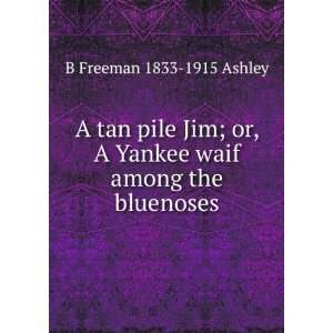   Yankee waif among the bluenoses B Freeman 1833 1915 Ashley Books