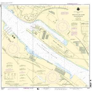    18527  Willamette River   Swan Island Basin