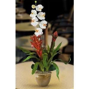 Shopzeus USA zeusd1 CALA 4270315 Double Bromeliad Orchid Combo Silk 