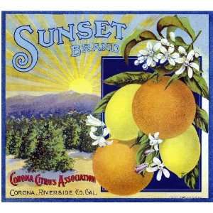  Corona, Riverside County Sunset Orange Citrus Fruit Crate 