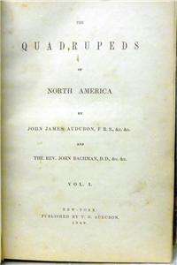 RARE 1849 3VOLS QUADRUPEDS NORTH AMERICA AUDUBON HAND COLOR ANIMALS 