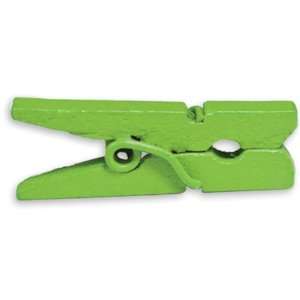  Canvas Corp   Mini Clothespins   Lime Green