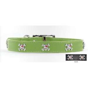  Rockinft Doggie 844587014957 .5 in. x 8 in. Leather Collar 