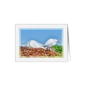 Nesting Egrets Note Card Card