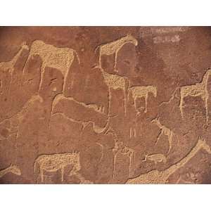  Rock Engravings, Twyfelfontein, Namibia, Africa Stretched 