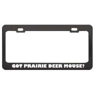 Got Prairie Deer Mouse? Animals Pets Black Metal License Plate Frame 