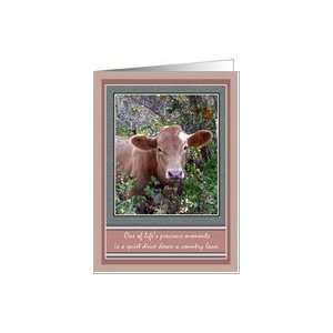 Calf Baby Cow Note Cards Card