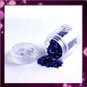   Nail Art Sparkling Glitter Powder Dust Tips Salon Set B0393 Beauty