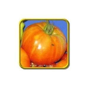  1 Oz   Heirloom Tomato Seeds   Pineapple Bulk Vegetable 