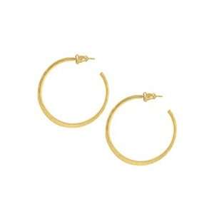   Baroni 24k Gold Over Sterling Round Hammered Hoop Earrings Baroni
