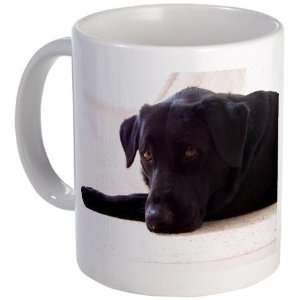  Black Labrador Pets Mug by 