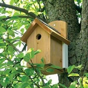  Wild Bird Colour Camera Nest Box  (A02048NB) [Kitchen 