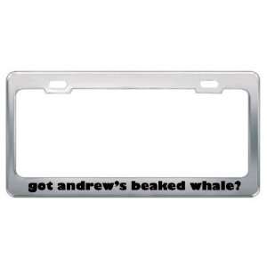 Got AndrewS Beaked Whale? Animals Pets Metal License Plate Frame 