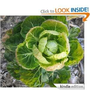   Finest Brussels Sprout Recipes Lila Riley  Kindle Store