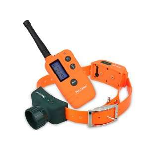   Display Pet Training Remote Training and Beeper Collar