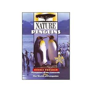  Nature Penguins Toys & Games