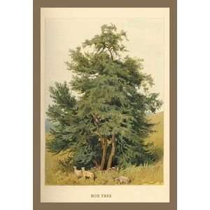 Box Tree   12x18 Framed Print in Gold Frame (17x23 finished)  