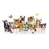 Girls Club Cat Cats on Fence Crewneck Sweatshirt S  5x  