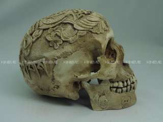 Resin hand made 11 Human Male Skull Replica Cranium  