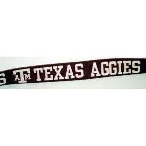  Texas A&M Aggies Lead