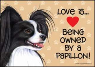 Loveis Being Owned Papillon Blk & Wht Dog Sign 5x7  