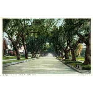  Reprint Pasadena CA   Marengo Avenue 1900 1909