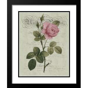   Framed and Double Matted 25x29 Antique Rose on Sage