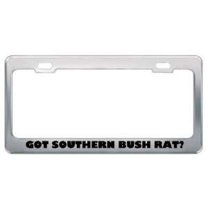 Got Southern Bush Rat? Animals Pets Metal License Plate Frame Holder 