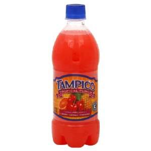 Tampico, Juice Tropical Punch Pet, 20 Ounce (12 Pack)  