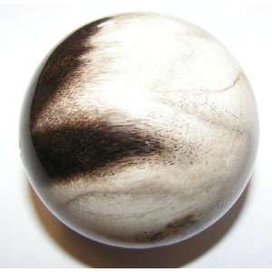 Wood Ball 02 Brown Black White Crystal Ancient Fossilized Tree Sphere 