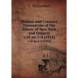  Medina and Cataract Formations of the Siluric of New York 