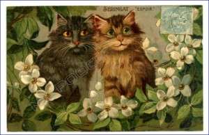Boulanger vintage cat postcard cats pair white flowers  